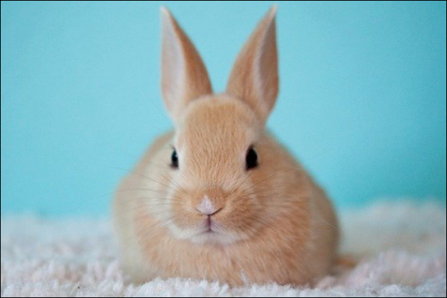 onŃZtɂ₷̓ƐEƁIǂȏ_Ηǂ̂H